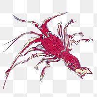 Red lobster png sticker, vintage sea animal illustration, transparent background