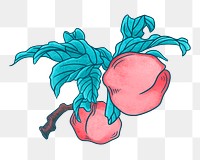 Vintage radish vegetable png sticker, food illustration, transparent background