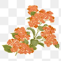 Cherry blossom png ukiyo-e Japanese flower sticker, transparent background