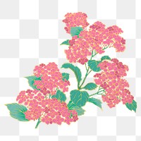 Pink cherry blossom png aesthetic ukiyo-e Japanese flower sticker, transparent background