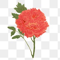 Vintage peony png aesthetic Japanese ukiyo-e remixed sticker, transparent background