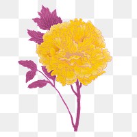 Aesthetic flower png vintage Japanese ukiyo-e remixed sticker, transparent background