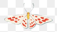 Orange moth png sticker, vintage insect illustration, transparent background