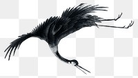 Black Japanese crane png, vintage bird illustration, transparent background