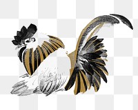 Gold chicken png, vintage bird animal illustration, transparent background