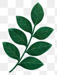 Green leaf png sticker, botanical illustration, transparent background