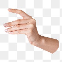 Woman's hand png sticker, body gesture image, transparent background