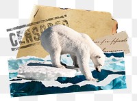 Polar bear png ephemera sticker, transparent background