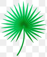 Fan palm png 3D sticker, transparent background