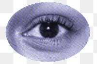 Female eye png sticker, transparent background