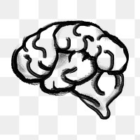 Human brain png sticker, knowledge, education doodle, transparent background