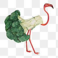 Broccoli flamingo png sticker, vegetable and animal remix, transparent background