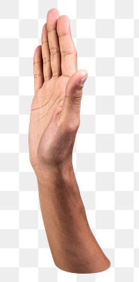 Png hand showing palm sticker, transparent background