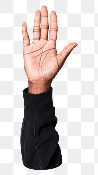 Png hand showing palm sticker, transparent background