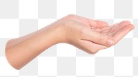 Cupped hand png sticker, transparent background