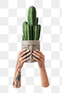 Cactus lover png sticker, transparent background