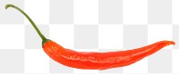 Red chilli png sticker, transparent background