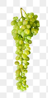 Green grape png sticker, transparent background