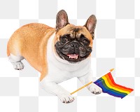 Pride month dog png sticker, transparent background