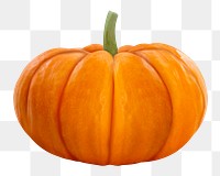 Orange pumpkin png sticker, transparent background