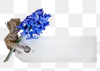 Hyacinth & label png sticker, transparent background