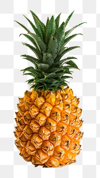Pineapple fruit png sticker, transparent background