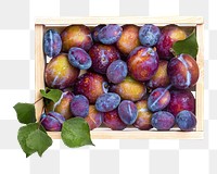 Box of plums png sticker, transparent background