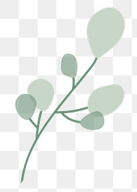 Aesthetic leaf branch png sticker, transparent background