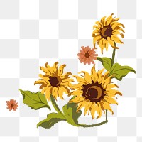 Aesthetic sunflower flower png sticker, transparent background