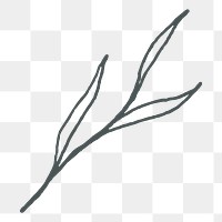 Aesthetic leaf doodle png sticker, transparent background