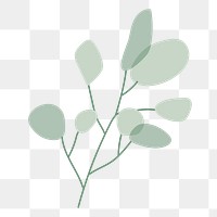 Aesthetic leaf branch png sticker, transparent background