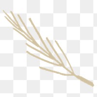 Leafless branch png sticker, botanical doodle, transparent background