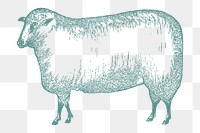 Vintage sheep png drawing sticker, transparent background