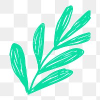 Green leaf png doodle botanical sticker, transparent background