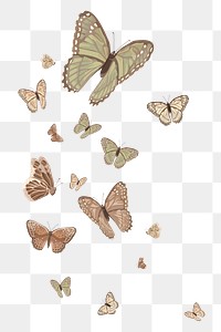 Aesthetic butterfly border png sticker illustration, transparent background