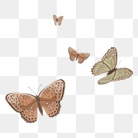 Aesthetic butterfly border png sticker illustration, transparent background