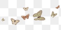 Butterfly border png sticker illustration, transparent background