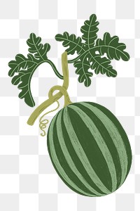 Watermelon fruit png sticker, cute food doodle, transparent background