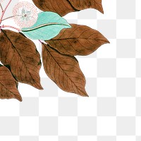 Brown leaf png border sticker, transparent background