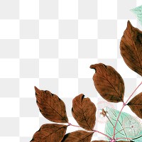 Brown leaf png border sticker, transparent background