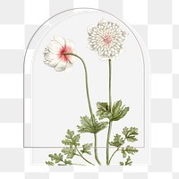 Vintage flower png sticker, animal, transparent background