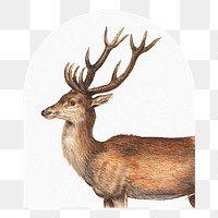 Vintage stag png sticker, animal, transparent background