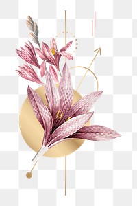 Pink flower png sticker, transparent background