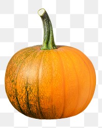 Large pumpkin png sticker, transparent background