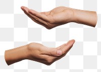 Cupping hands png sticker, transparent background 