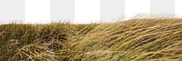 Windy grass field png border, landscape photo, transparent background