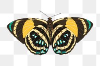 E.A. Séguy's butterfly png sticker, vintage insect on transparent background. Remixed by rawpixel