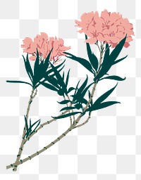 Pink vintage flower png illustration, transparent background. Remastered by rawpixel