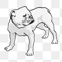 Bulldog dog png vintage pet illustration, transparent background. Remixed by rawpixel.