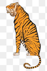 Aesthetic tiger  png on transparent background.   Remastered by rawpixel